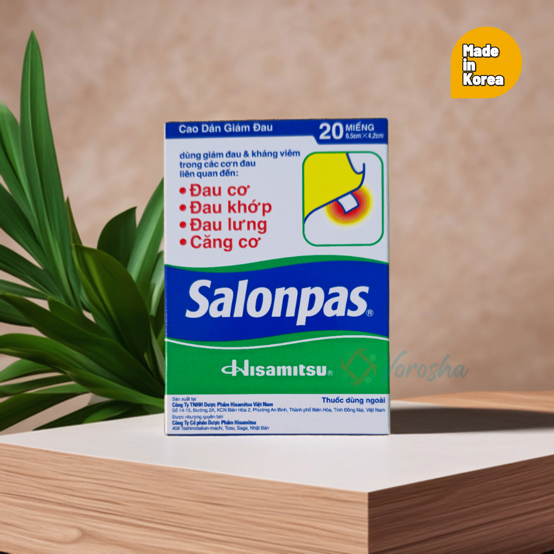 Salonpas (Vietnam) – Fast & Effective Pain Relief